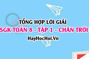 Giải Bài tập Toán 8 tập 1 SGK Chân trời sáng tạo